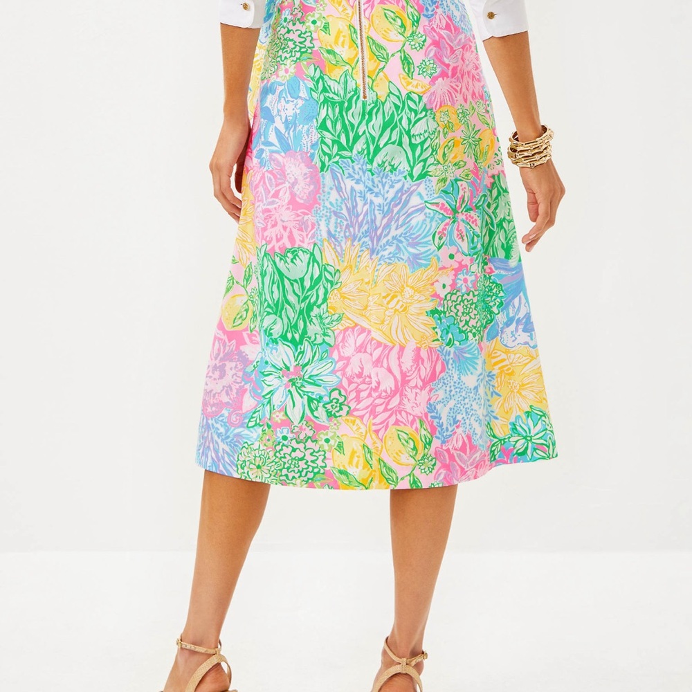 Lilly Pulitzer Rowena Midi Skirt - 10 - NWT
